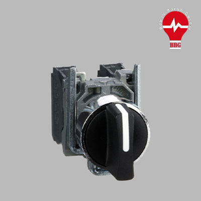 کلید دو طرفه اشنایدر XB4-BD33