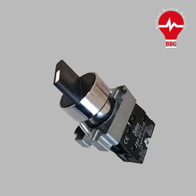  کلید دو طرفه سون XB2-BD33