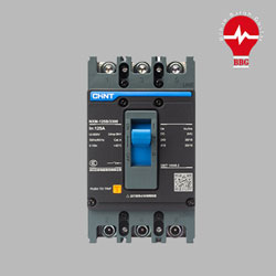 کلید اتوماتیک 225 آمپر CHINT غیرقابل تنظیم حرارتی-مغناطیسی (36KA) NXM-250S/3300