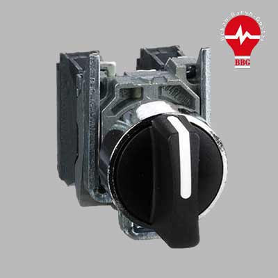 کلید سلکتوری تکفاز فرمان اشنایدر 1NO دو حالته schneider XB4XBD21
