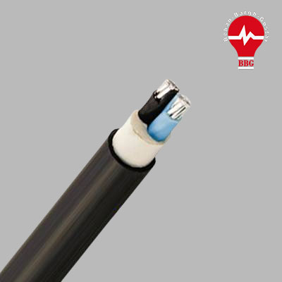 کابل مفتول آلومینیومی نمره 10×2 برند البرز الکتریک نور ( یک متر )