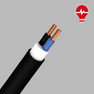 کابل مفتولی (زمینی) سطح مقطع 16*2 برند نور زنجان ( یک متر )