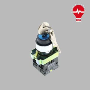 کلید دو طرفه سوئیچ دار کوینو NS22-K3-1A01A