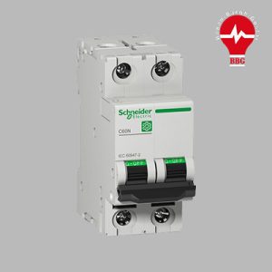 کلید مینیاتوری اشنایدر،دو پل، 2 آمپر، 6 کیلو آمپر B2 schneider